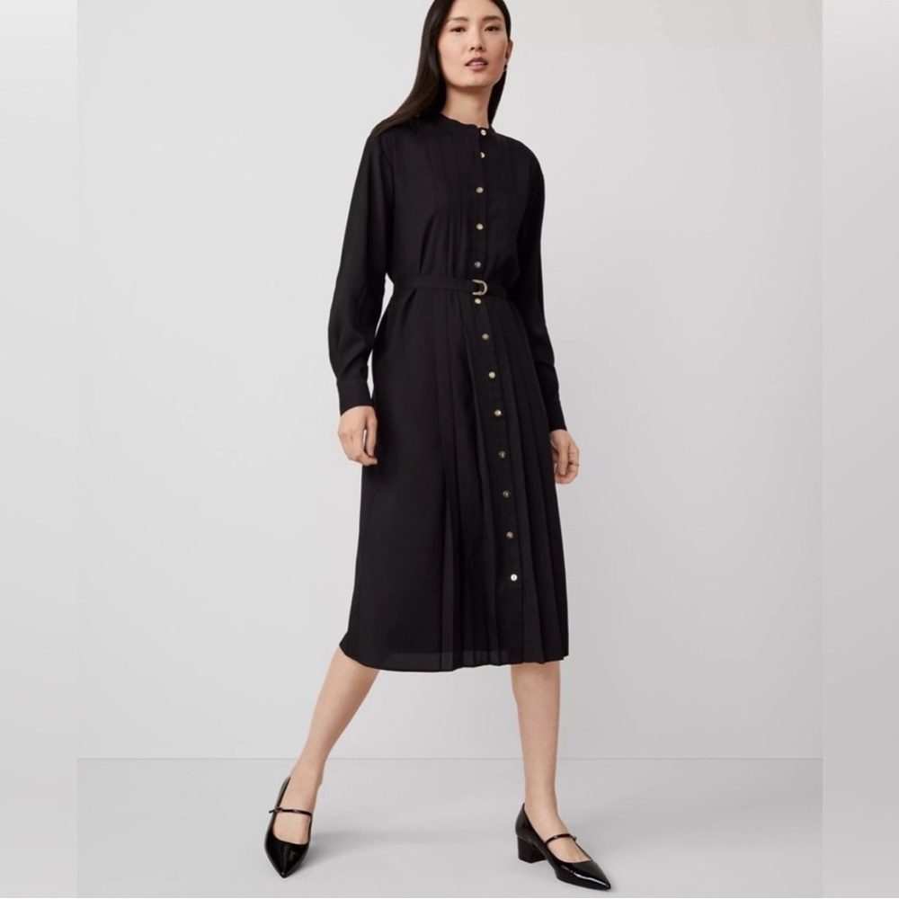 Ann Taylor Petite Pleated Mid Shirt Dress